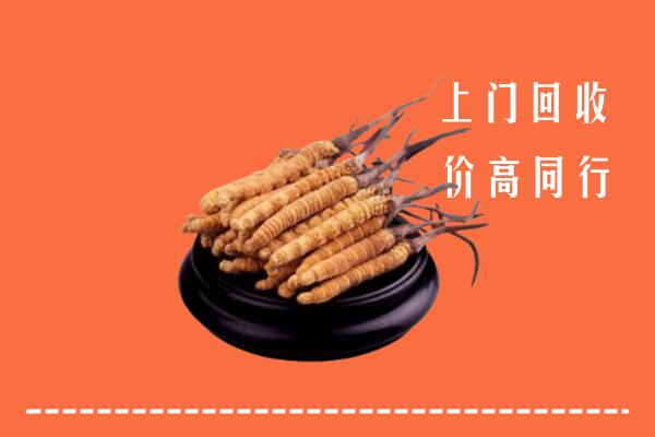 高价求购：徽县回收散虫草