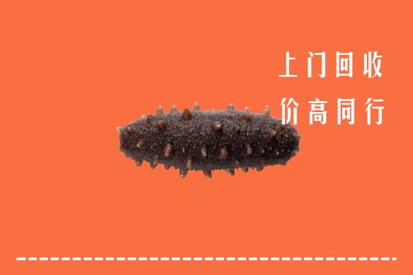 高价求购：徽县回收海参