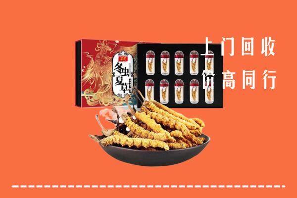 徽县回收虫草